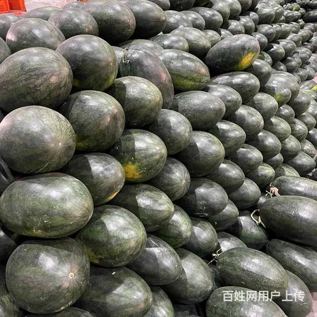 水果批 发供 应配送枇杷 哈 密瓜 西瓜 联系电话 - 图片 6