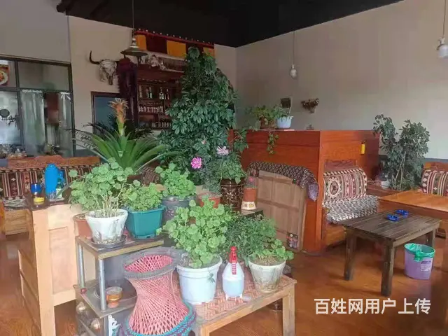 个人 永久放心饺子店（转让) - 图片 5