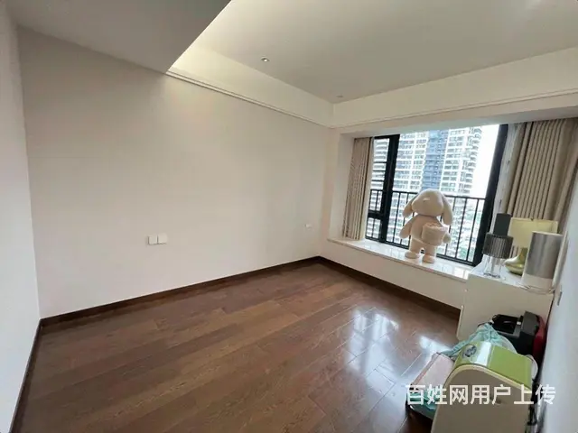 南湾区 绿景玺悦湾旁 中信红树湾 全河景 专梯入户，齐全 - 图片 10