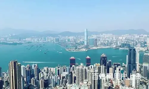 办美国人才移民就找移民内参网！移民内参网到底多强 - 图片