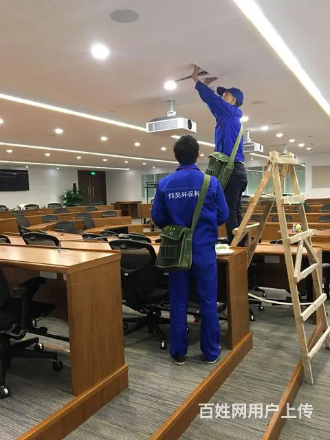 清远除甲醛、净化空气、灭虫，灭鼠，24小时上门服务 - 图片 3