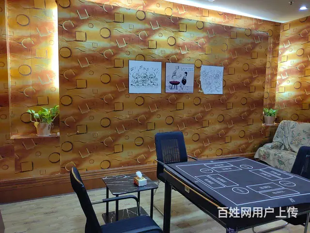 出租出兑丨网红打卡地一线海景五星酒吧咖啡厅 - 图片 11