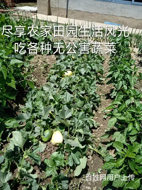 出租200出售16万 - 图片 7