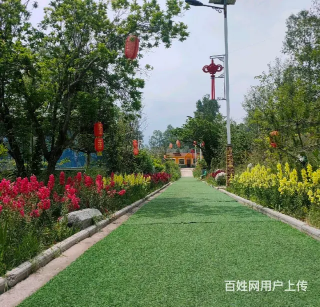 7825（七P）个人湟中区上新庄龙腾休闲庄生意火爆个人原因转 - 图片 4