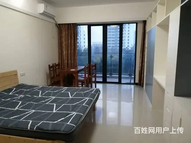 出租止泊园1室1厅1卫1阳台拎包入住豪华 - 图片 1