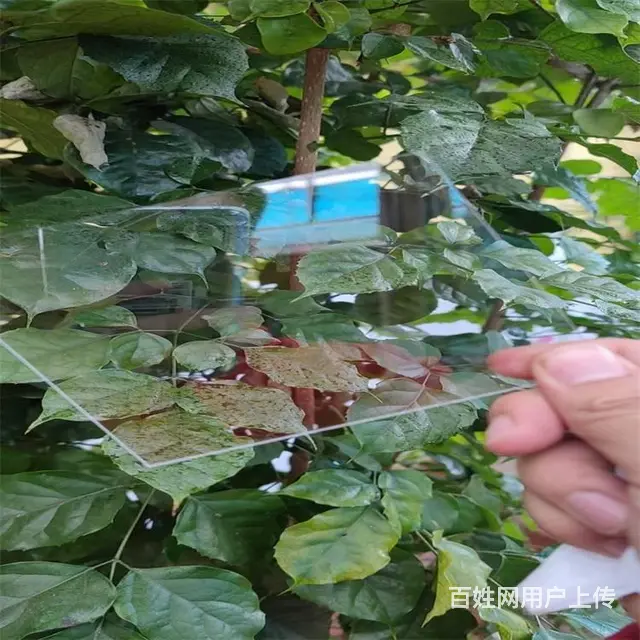 东营广饶3mm耐力板采购广饶耐力板车棚雨棚厂家 - 图片 2