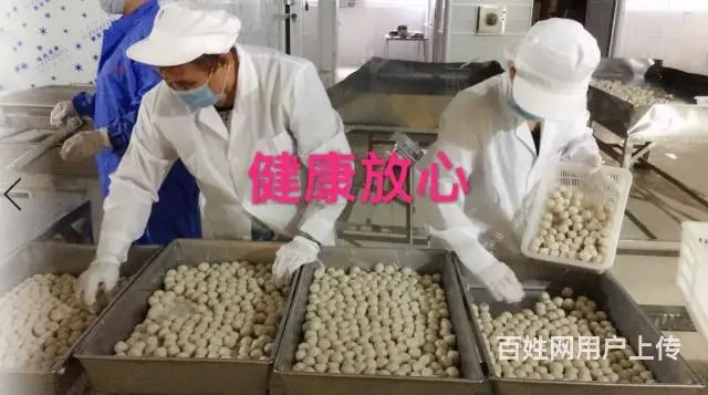 北海鳗鱼丸子马鲛鱼丸批发工厂批发 - 图片 7