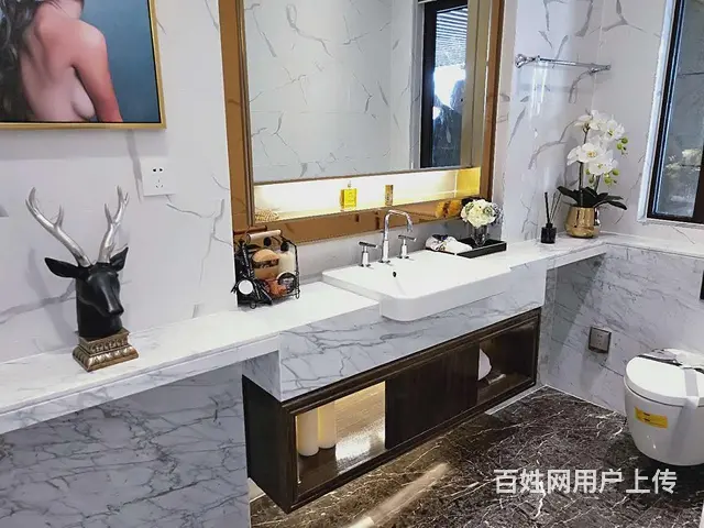 常州产权 武进区太湖庄园 湖景别墅 依山傍水 免费 - 图片 6