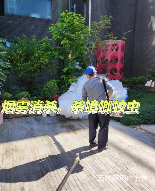 福州仓山经验丰富的除四害怎么收费 - 图片 2