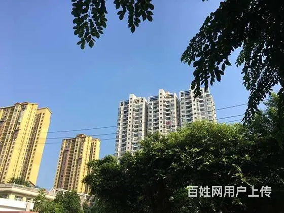成都郫都房屋装修贷款|房屋车辆抵押业主大额应急贷款 - 图片 4