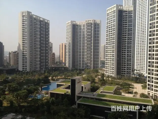 南湾，中信红树湾全新未住 直降50万  业主诚心卖， - 图片 12