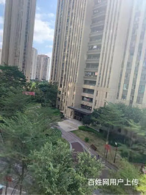 中骏旁星光耀，店在楼下三房一千八-2千三钥匙一百把随便看 - 图片 12