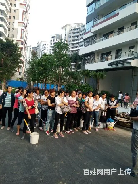海口洁美诚清洁服务有限公司 - 图片 6