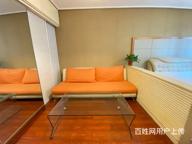 稀缺南北。笋租 - 图片 7