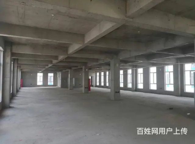 洛阳春都路出租仓库面积50－800平左右，可分割，个人急租 - 图片 3