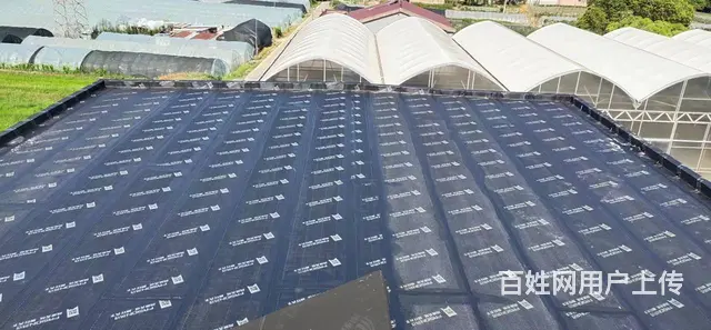 天宁区兰陵湖塘永航防水 屋顶墙面 卫生间车库阳台 - 图片 7