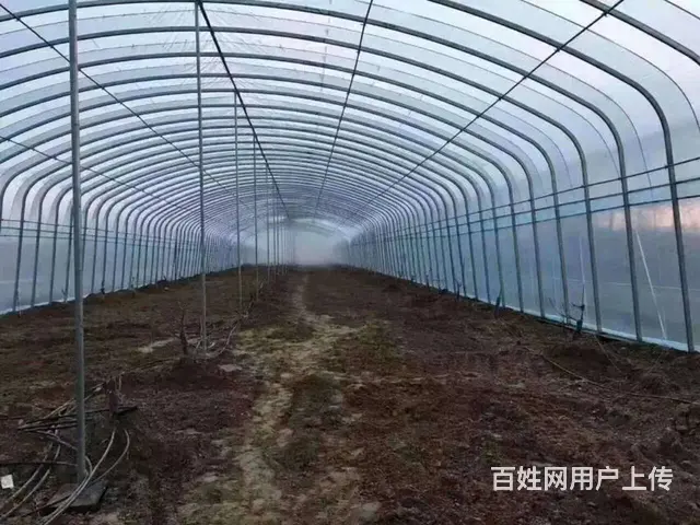 宿迁地区批发各种大棚骨架上门定做各种养殖大棚种植大 - 图片 2