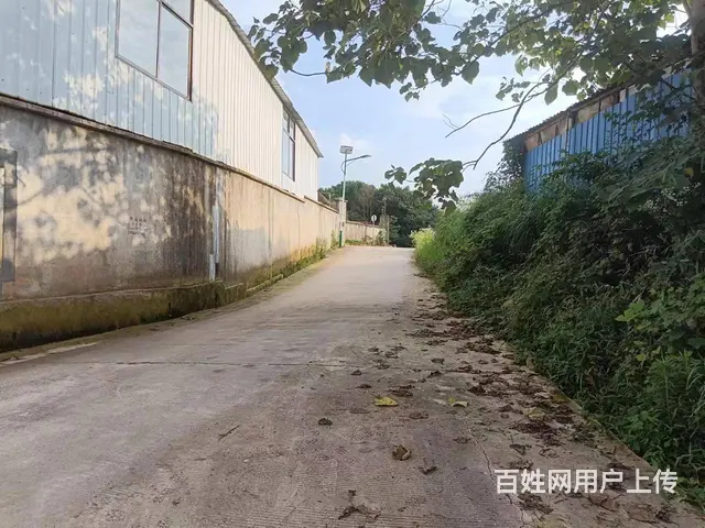 （老板本人）松雅湖黄兴大道旁独门独院厂房仓库房东直租6533 - 图片 1