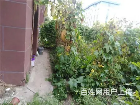 绿谷庄园132平一楼带花园楼房出售 - 图片 11