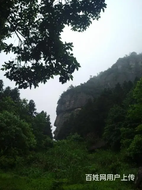 寻找幸福 - 图片