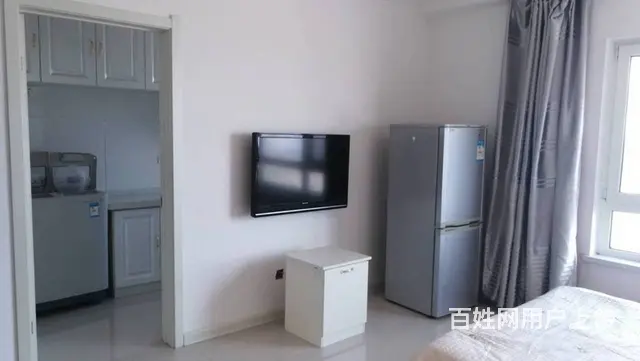 地铁房丽十二公馆(铁西) 普通住宅1厅 精装修 - 图片 6