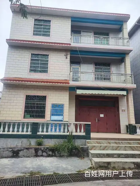 （51旺铺推荐）西岛317平整栋出租 - 图片 2