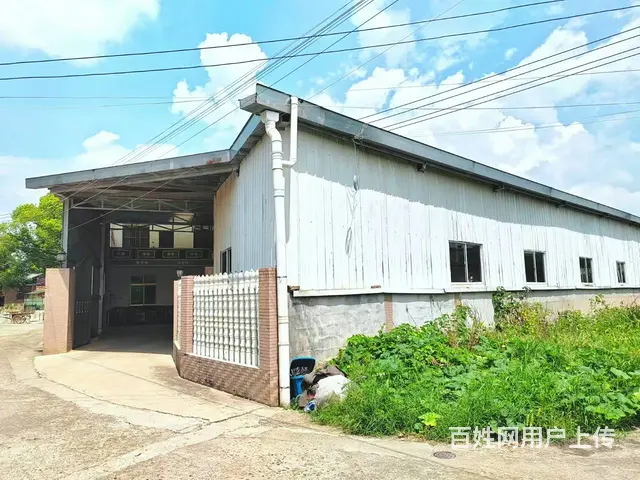 （老板本人）天心区大托铺整栋房屋/办公楼/厂房仓库出租可分租 - 图片 8