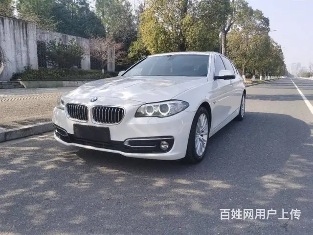 宝马5系 2017款 525Li 2.0T 手自一体 豪华设 - 图片 11