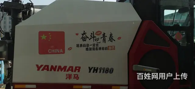精品1180 - 图片 8