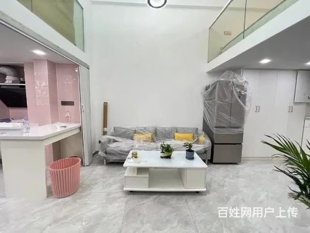 湖塘吾悦广场稀缺带燃气复试挑高毛坯精装 后几套手慢无 - 图片 10