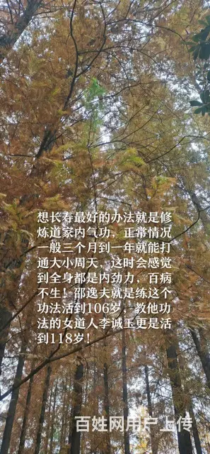 道家气功私教课程 - 图片 3