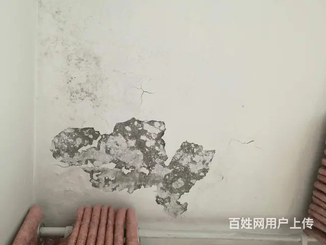 红花岗墙面渗水施工维修,房屋不砸砖漏水维修办法 - 图片
