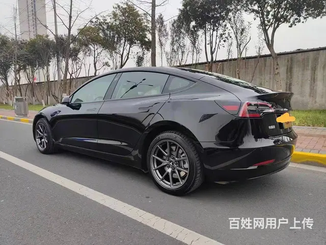 特斯拉Model 3 2020款 标准续航后驱升级版 - 图片 6