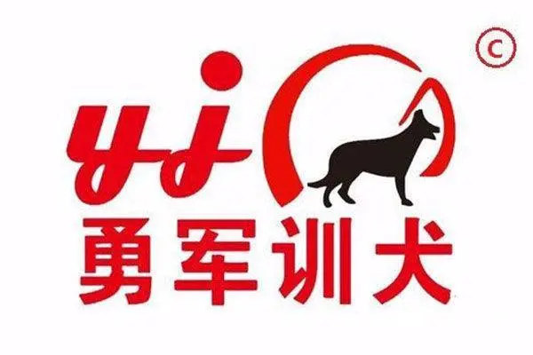 勇军宠物寄养-寄养宠物一个月多少钱?_拥有专业宠物 - 图片 1