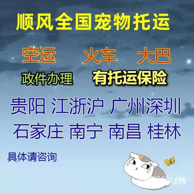 2022常州市到全国）宠物托运（猫狗）邮寄快递（宠物活体运输 - 图片 1
