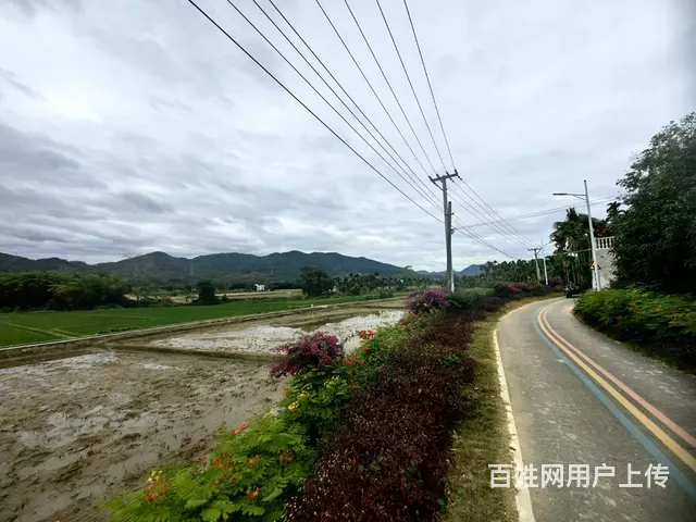 （51旺铺推荐）三亚学院旁1000平土地出租 - 图片 5