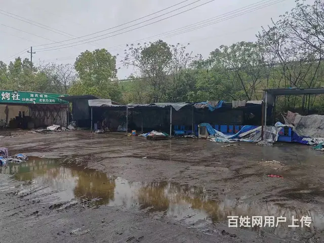 （老板本人）开福区开福大道凤羽村厂房仓库房东直租  6231 - 图片 10