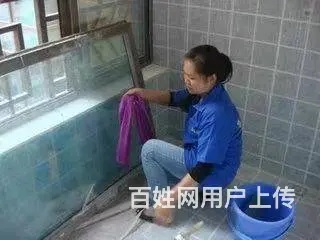 彩福家政为你提供专业服务保姆看小孩接送小孩高级月嫂 - 图片 2