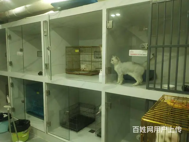 （51旺铺推荐）龙昆南悦城135平铺面转让 - 图片 7