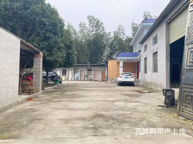 (房东直租)开福区沙坪街道320平厂房，仓库优价出租 - 图片 6