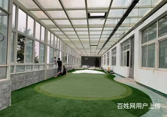 专业冲砂人造高尔夫果岭  人造果岭 仿真果岭 - 图片 2