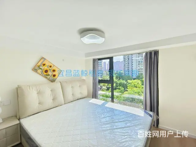 五一广场！东站旁！万豪！网红民宿风 密码锁免费看房 - 图片 9