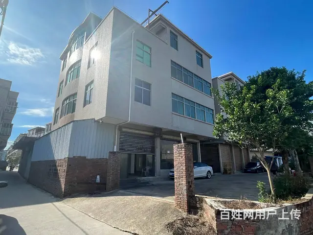 （51旺铺推荐）美兰区新埠岛650平整栋出租 - 图片 1