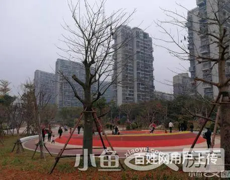 同安BRT枢纽站、同安乐海城市广场旁  单身公寓 - 图片 1