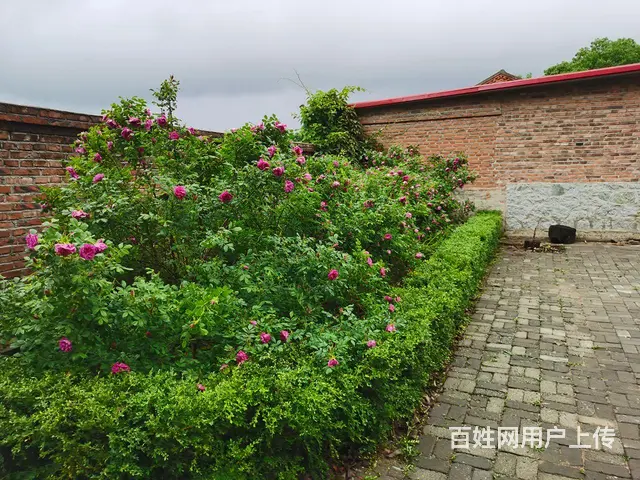 独栋四合院 - 图片 3
