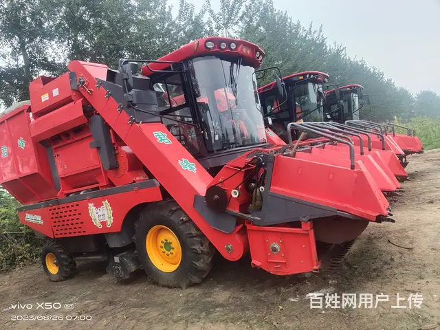 22年俊峰茎穗兼收 - 图片 2