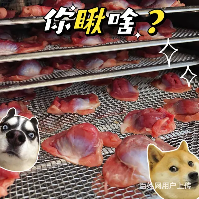 烘干鸡珍宠物零食纯手工制作 - 图片 2