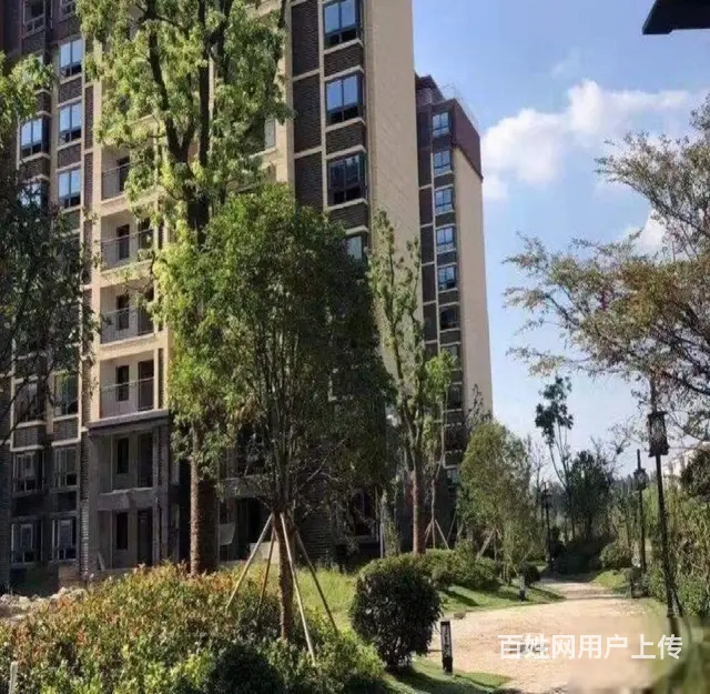 悦澜湾0首付月供7k 现房洋房 看房送金项链 （真 - 图片 10