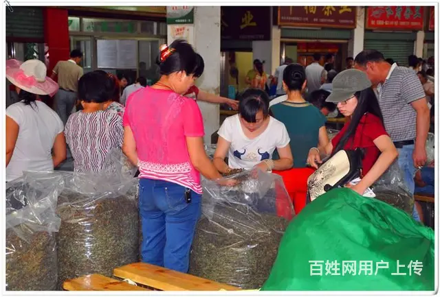 问天晟茶艺培训学校：中级茶艺师培训班多少钱 - 图片 1
