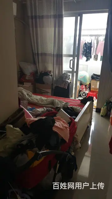 五证齐全 - 图片 3